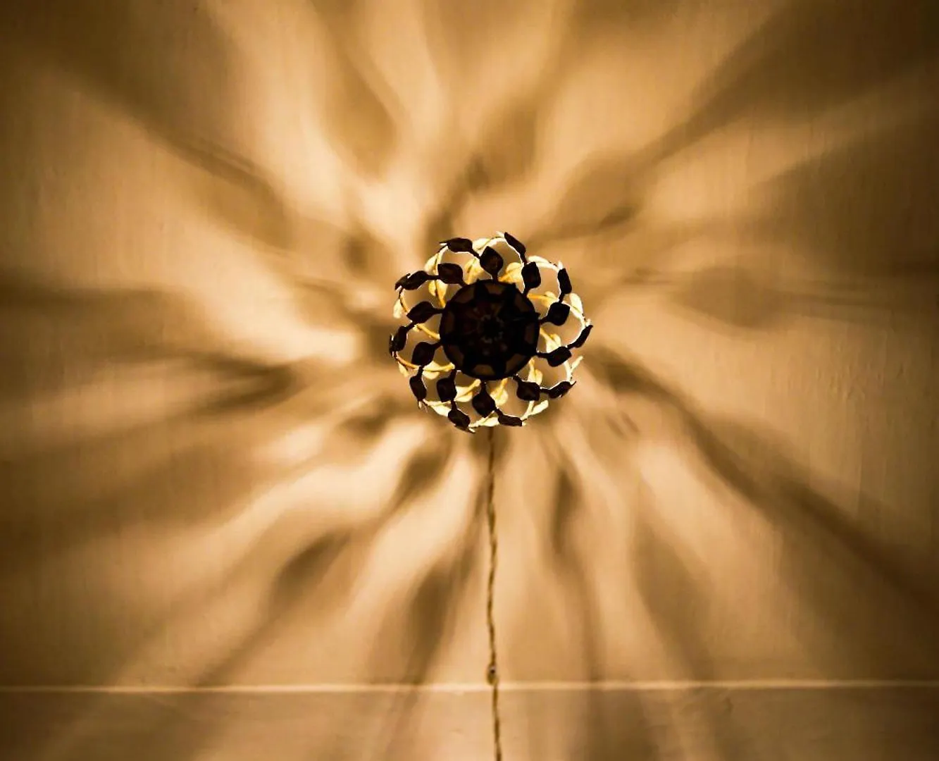 Casa Don Eliseo Bed & Breakfast Castillejar